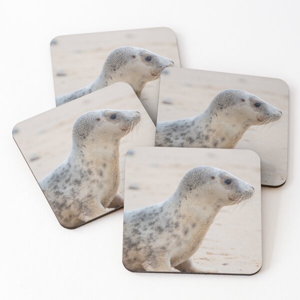 Item preview, Sitting grey seal pup designed and sold by cdkphotos.