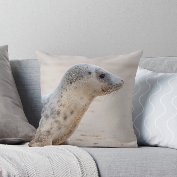 Item preview, Sitting grey seal pup designed and sold by cdkphotos.