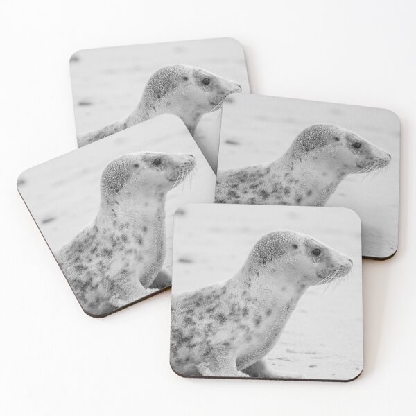 Item preview, Sitting grey seal pup in monochrome designed and sold by cdkphotos.