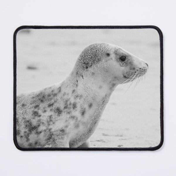 Item preview, Sitting grey seal pup in monochrome designed and sold by cdkphotos.