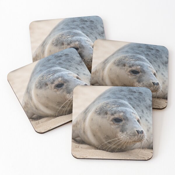 Item preview, Horsey Gap seal pup designed and sold by cdkphotos.