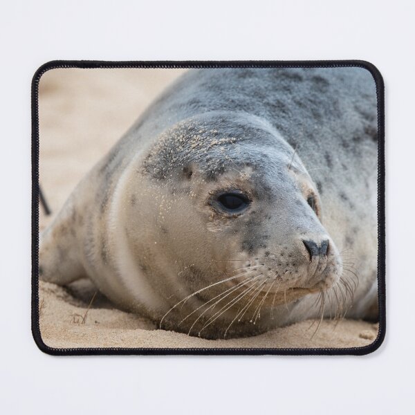 Item preview, Horsey Gap seal pup designed and sold by cdkphotos.