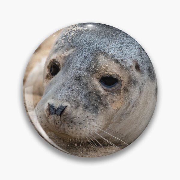 Item preview, Horsey Gap seal pup designed and sold by cdkphotos.