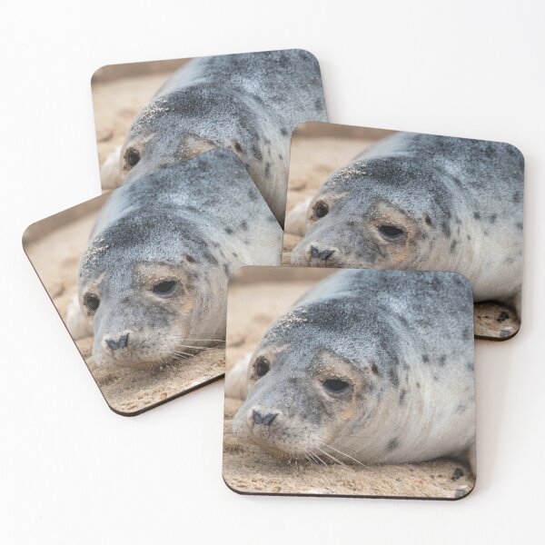 Item preview, Horsey Gap seal pup designed and sold by cdkphotos.