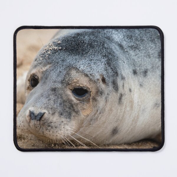 Item preview, Horsey Gap seal pup designed and sold by cdkphotos.
