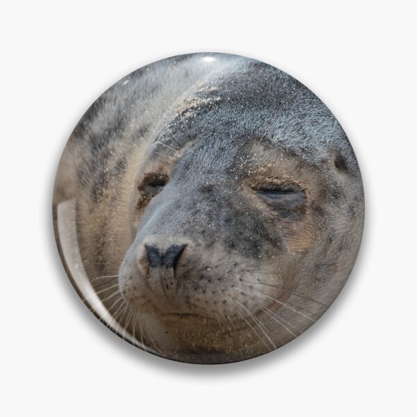 Item preview, Grey seal pup close up designed and sold by cdkphotos.