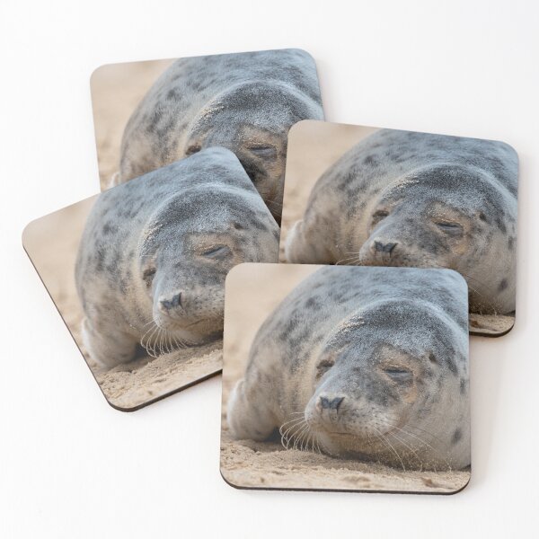 Item preview, Grey seal pup close up designed and sold by cdkphotos.