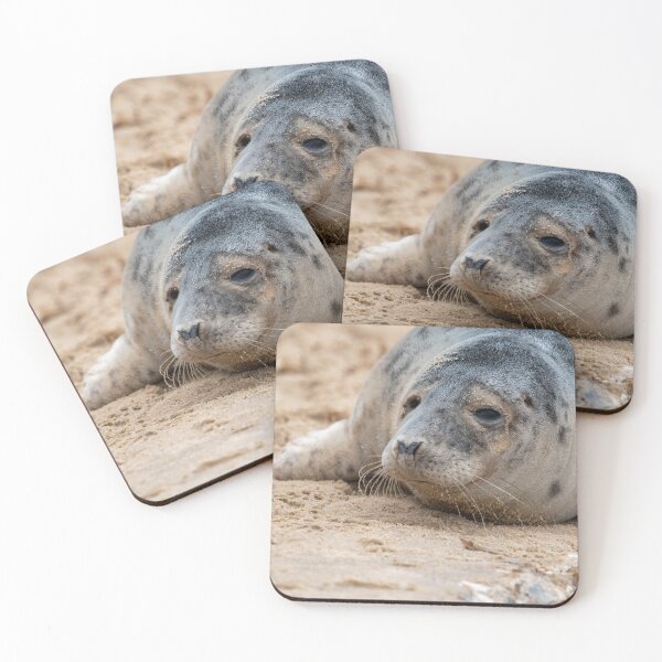 Item preview, Seal pup at Horsey Gap designed and sold by cdkphotos.