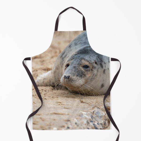 Item preview, Seal pup at Horsey Gap designed and sold by cdkphotos.