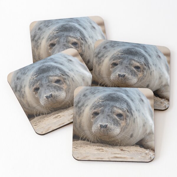 Item preview, Close up of a grey seal pup designed and sold by cdkphotos.