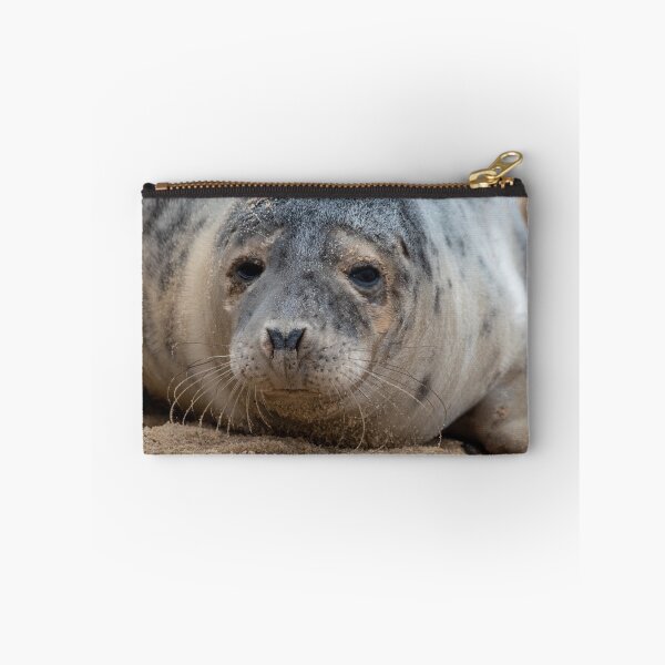 Item preview, Close up of a grey seal pup designed and sold by cdkphotos.