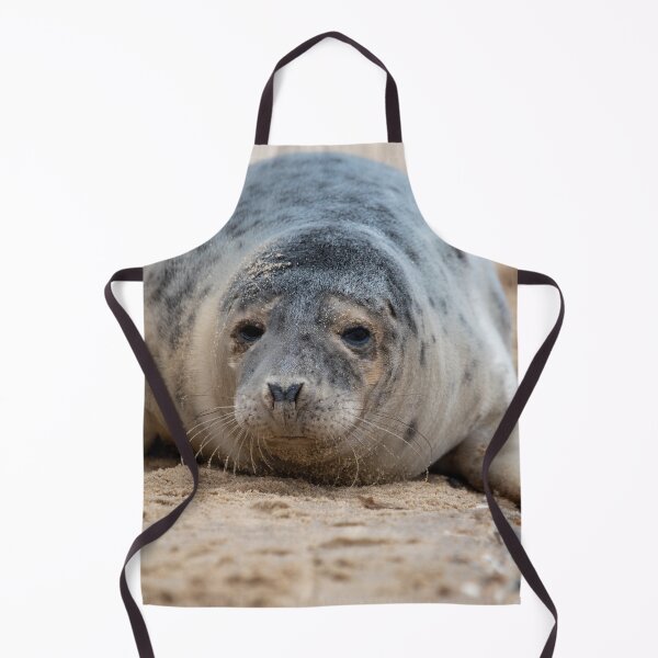 Item preview, Close up of a grey seal pup designed and sold by cdkphotos.