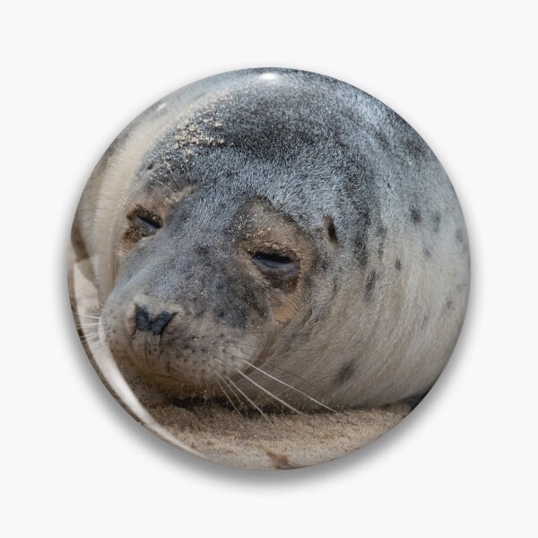 Item preview, Horsey Gap seal pup designed and sold by cdkphotos.