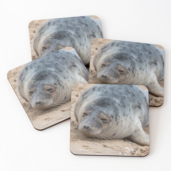 Item preview, Horsey Gap seal pup designed and sold by cdkphotos.