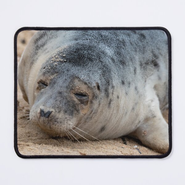 Item preview, Horsey Gap seal pup designed and sold by cdkphotos.