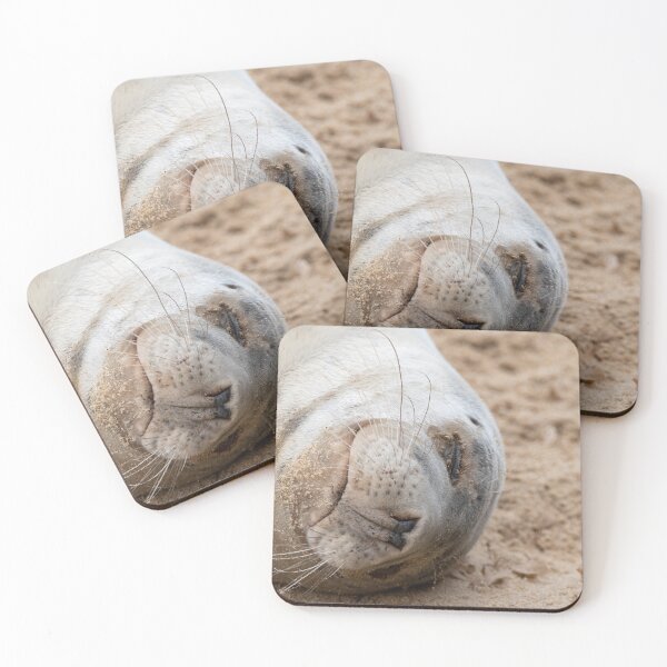 Item preview, Sleeping seal pup designed and sold by cdkphotos.