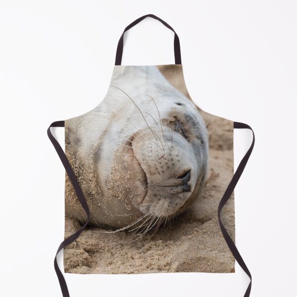 Item preview, Cute sleeping seal pup designed and sold by cdkphotos.