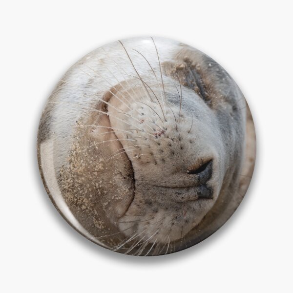 Item preview, Cute sleeping seal pup designed and sold by cdkphotos.