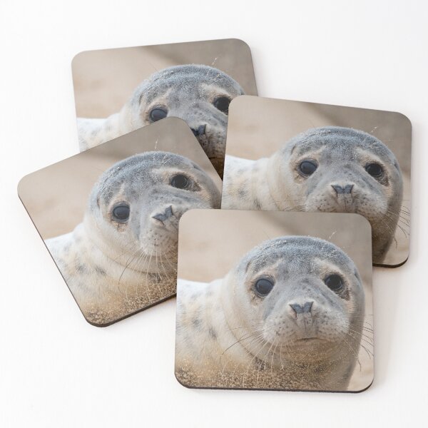 Item preview, Inquisitive seal pup designed and sold by cdkphotos.