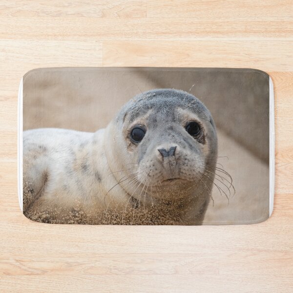 Item preview, Inquisitive seal pup designed and sold by cdkphotos.