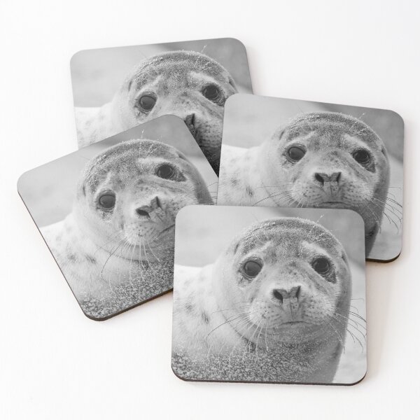 Item preview, Curious grey seal pup designed and sold by cdkphotos.