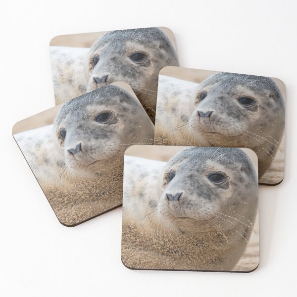 Item preview, Sitting seal pup designed and sold by cdkphotos.