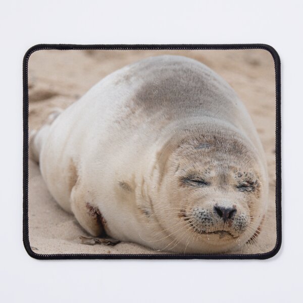 Item preview, Adorable sleeping seal pup designed and sold by cdkphotos.