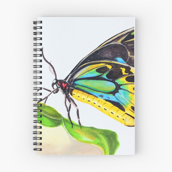 Item preview, Sketch Butterfly designed and sold by HelenBerkArt.