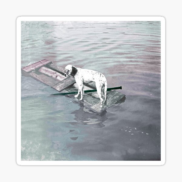 Dalmatian Sticker
