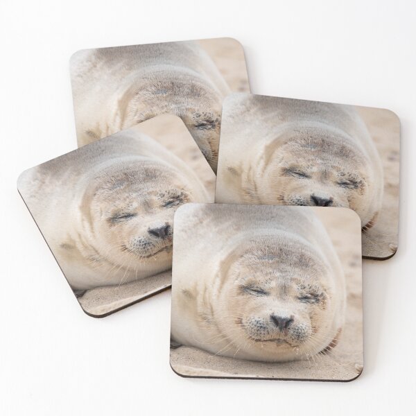 Item preview, Cute sleeping seal pup designed and sold by cdkphotos.