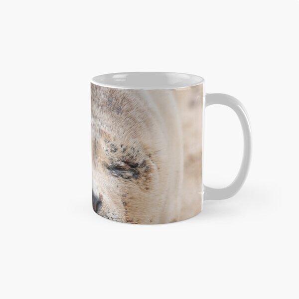 Item preview, Cute sleeping seal pup designed and sold by cdkphotos.