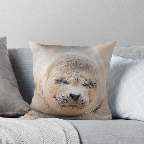 Item preview, Cute sleeping seal pup designed and sold by cdkphotos.