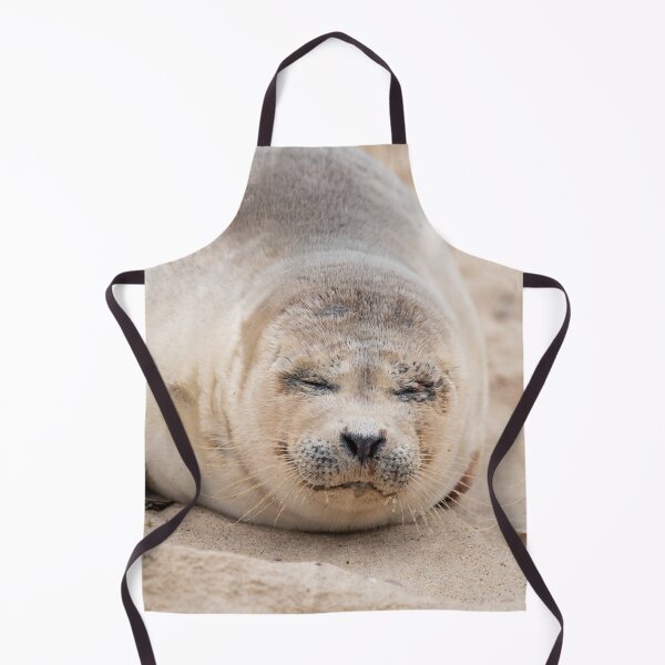Item preview, Cute sleeping seal pup designed and sold by cdkphotos.