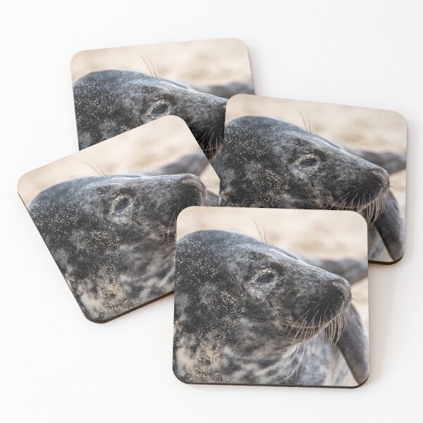Item preview, Horsey Gap grey seal designed and sold by cdkphotos.
