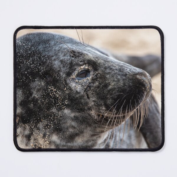 Item preview, Horsey Gap grey seal designed and sold by cdkphotos.