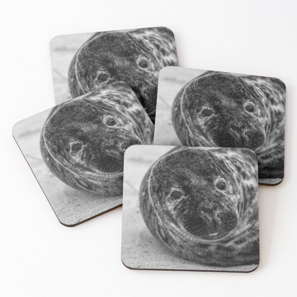 Item preview, Cute grey seal in monochrome designed and sold by cdkphotos.