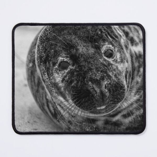 Item preview, Cute grey seal in monochrome designed and sold by cdkphotos.
