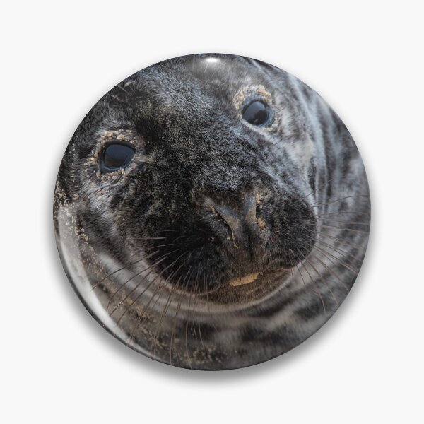 Item preview, Funny grey seal designed and sold by cdkphotos.