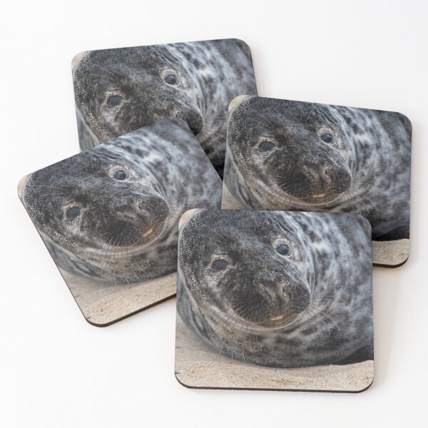 Item preview, Funny grey seal designed and sold by cdkphotos.