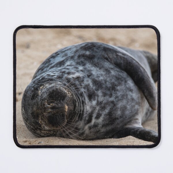 Item preview, Laughing grey seal designed and sold by cdkphotos.