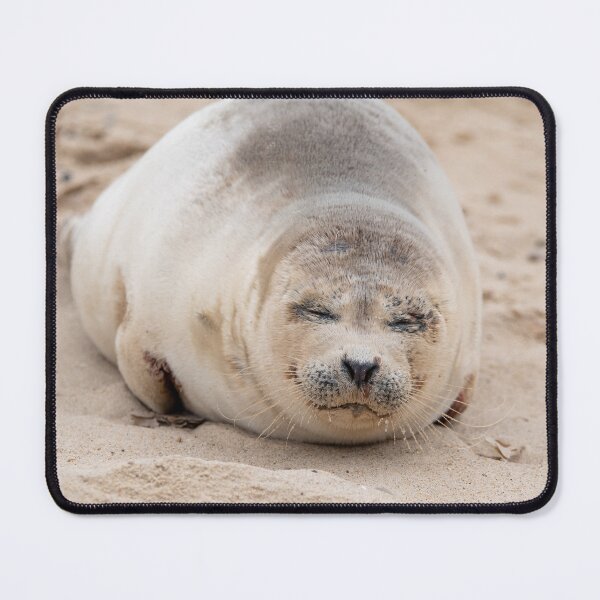 Item preview, Cute sleeping seal pup designed and sold by cdkphotos.