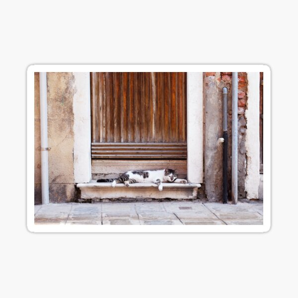 Lazy cat napping on doorstep in Venice Sticker
