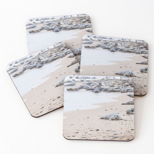 Item preview, Seals on Horsey Gap beach, Norfolk designed and sold by cdkphotos.