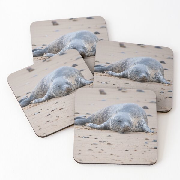 Item preview, Grey seal on the beach designed and sold by cdkphotos.