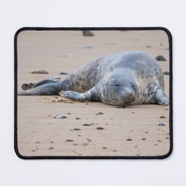 Item preview, Grey seal on the beach designed and sold by cdkphotos.