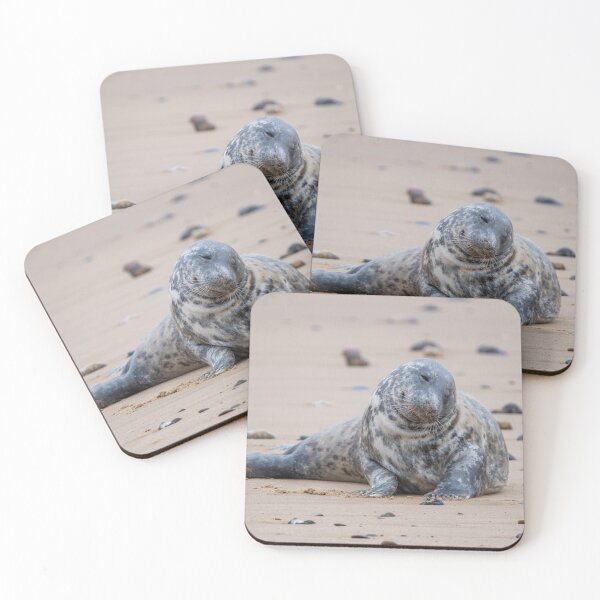 Item preview, Grey seal sitting on Horsey Gap beach designed and sold by cdkphotos.