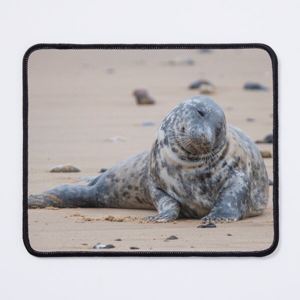 Item preview, Grey seal sitting on Horsey Gap beach designed and sold by cdkphotos.