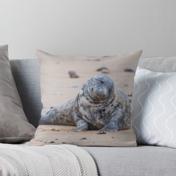 Item preview, Grey seal sitting on Horsey Gap beach designed and sold by cdkphotos.