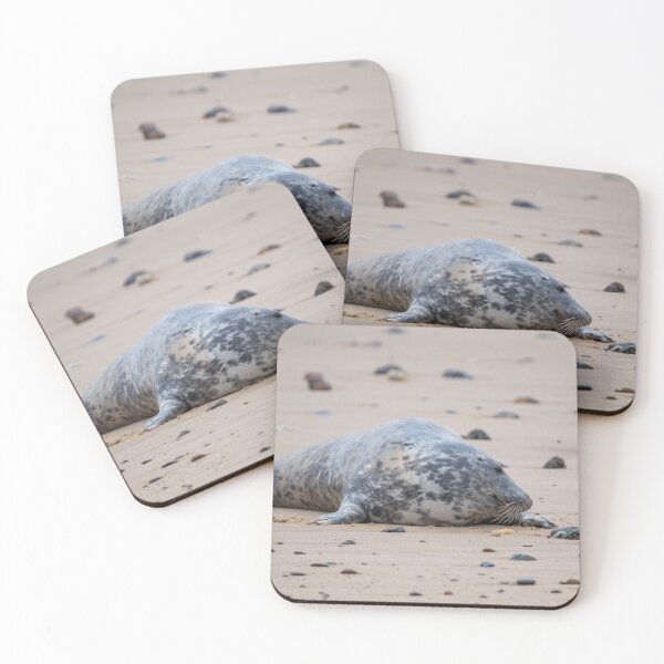 Item preview, Grey seal on the beach designed and sold by cdkphotos.