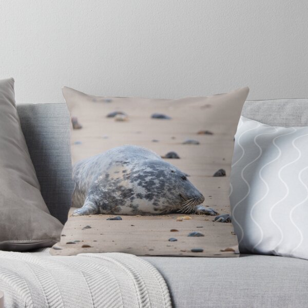 Item preview, Grey seal on the beach designed and sold by cdkphotos.